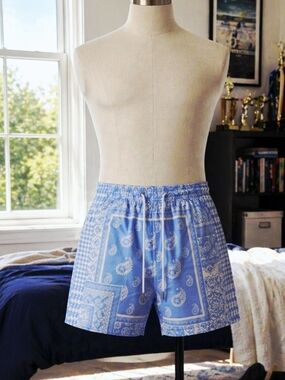 Men's Boho Paisley Print Drawstring Waist Essentials Summer Bandana Shorts